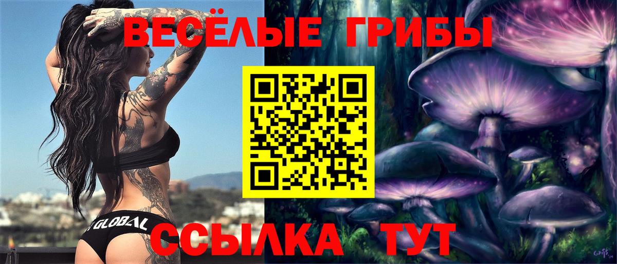 Галлюциногенные грибы мухоморы  Галлюциногенные грибы мицелий  даркнет сайт  Вход с VPN  Корсаков 